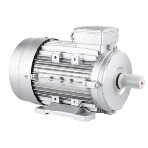 Import IE2 HIGH EFFICIENCY THREE PHASE MOTOR from chinese wholesale supplier and manufacturer