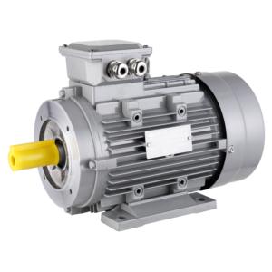 Import IE2 MOTOR from chinese wholesale supplier and manufacturer