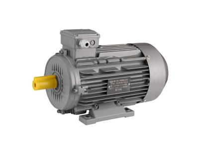 Import IE3 MOTOR from chinese wholesale supplier and manufacturer