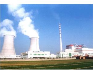 Import In 9 350MW unit in Huangtai Power Plant from chinese wholesale supplier and manufacturer
