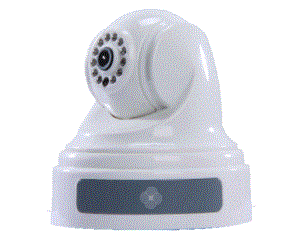 Import Infrared PTZ dome from chinese wholesale supplier and manufacturer