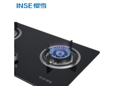 Import INSE Double Burner Gas Stove JZY/T-Q2109(B) from chinese wholesale supplier and manufacturer