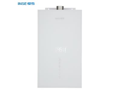 Import INSE home appliance instant hot water heater force type gas water heater QH2102 from chinese wholesale supplier and manufacturer
