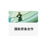 Import International labor cooperation from chinese wholesale supplier and manufacturer