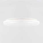 Import IP54 ceiling lamp from chinese wholesale supplier and manufacturer