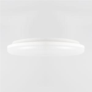 Import IP54 ceiling lamp from chinese wholesale supplier and manufacturer