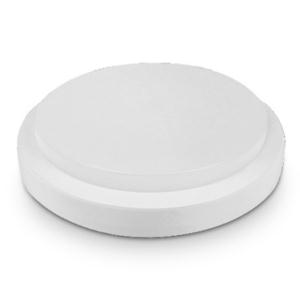Import IP65 LED CEILING LAMP from chinese wholesale supplier and manufacturer