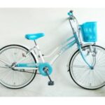 Import J-CNG20 from chinese wholesale supplier and manufacturer