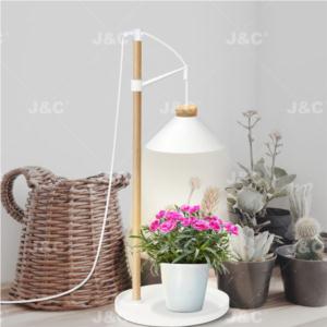 Import J&C MG-TG-002 grow light Table lamp type height adjustable nordic design wood&plastic material suitable for pot plants indoor light from chinese wholesale supplier and manufacturer