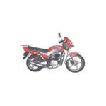 Import JL125-C from chinese wholesale supplier and manufacturer