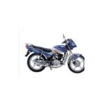 Import JL125-C motorcycle from chinese wholesale supplier and manufacturer