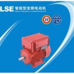 Import JLSE SMART FREQUENCY CONVERTER MOTOR from chinese wholesale supplier and manufacturer