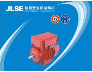 Import JLSE SMART FREQUENCY CONVERTER MOTOR from chinese wholesale supplier and manufacturer