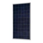 Import JMP-245W-P6-G Solar Module from chinese wholesale supplier and manufacturer
