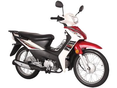 Import JOJO 110 (LF110-7D) LIFAN Cub Motorcycle from chinese wholesale supplier and manufacturer