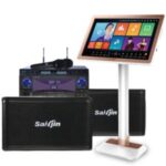 Import Karaoke system from chinese wholesale supplier and manufacturer