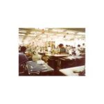 Import Labour service co-operation(Human Resource support) from chinese wholesale supplier and manufacturer