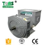 Import LANDTOP three phase double bearing brushless alternator from chinese wholesale supplier and manufacturer