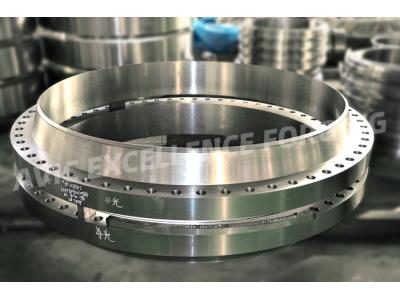 Import Large diameter forged flange with titanium alloy material from chinese wholesale supplier and manufacturer