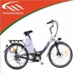 Import LEAD ACID BATTERY BIKES- LMTDH-Q-03 from chinese wholesale supplier and manufacturer