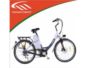 Import LEAD ACID BATTERY BIKES- LMTDH-Q-03 from chinese wholesale supplier and manufacturer