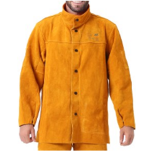 Import LEATHER JACKET TOSAN from chinese wholesale supplier and manufacturer