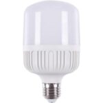 Import LED BULB T80 from chinese wholesale supplier and manufacturer