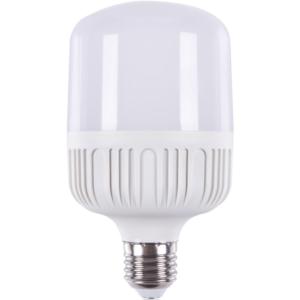 Import LED BULB T80 from chinese wholesale supplier and manufacturer