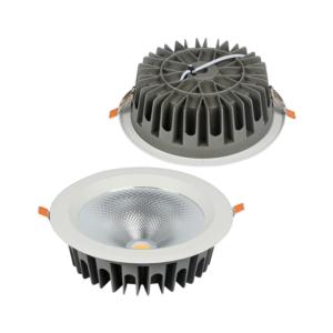 Import LED Down Light from chinese wholesale supplier and manufacturer