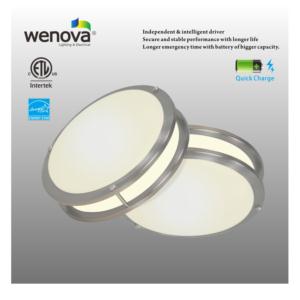 Import LED Emergency Ceiling from chinese wholesale supplier and manufacturer