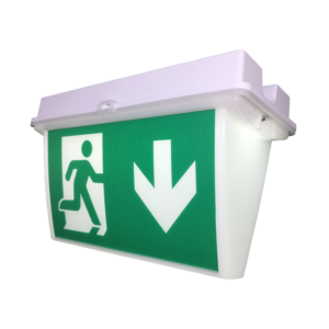 Import LED Emergency Light from chinese wholesale supplier and manufacturer