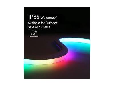 Import LED NEON STRIP LIGHT from chinese wholesale supplier and manufacturer