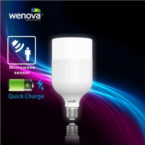 Import LED T-Shape Bulb from chinese wholesale supplier and manufacturer