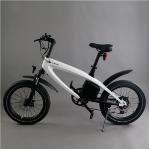 Import Lehe S2 fat tire electric bike from chinese wholesale supplier and manufacturer