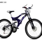 Import LEOPARD 3.0 from chinese wholesale supplier and manufacturer