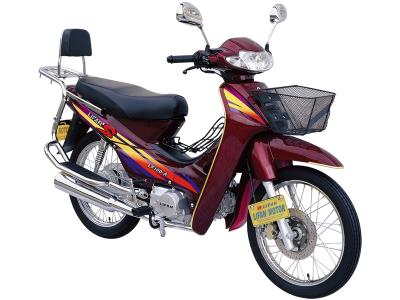 Import LF100-A LIFAN Cub Motorcycle from chinese wholesale supplier and manufacturer