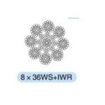 Import linear contact lay wire ropes8*36WS+IWR from chinese wholesale supplier and manufacturer