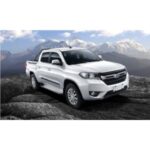 Import Lion F22 pickup from chinese wholesale supplier and manufacturer