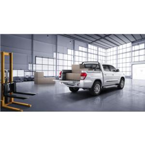 Import Lion F22 pickup from chinese wholesale supplier and manufacturer