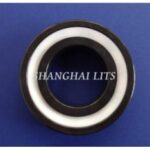 Import LITS Ceramic Deep Groove Bearings Si3N4(with PTFE Seals) from chinese wholesale supplier and manufacturer