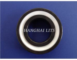 Import LITS Ceramic Deep Groove Bearings Si3N4(with PTFE Seals) from chinese wholesale supplier and manufacturer