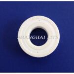 Import LITS Ceramic Deep Groove Bearings ZrO2(with PTFE S from chinese wholesale supplier and manufacturer