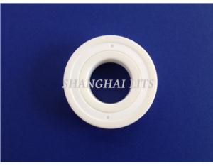 Import LITS Ceramic Deep Groove Bearings ZrO2(with PTFE S from chinese wholesale supplier and manufacturer