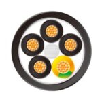 Import LONGFLEX CHAIN FD 437 from chinese wholesale supplier and manufacturer