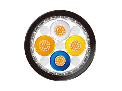 Import LONGTRONIC ETHERNET LOCOMOTIVE CAT5e from chinese wholesale supplier and manufacturer