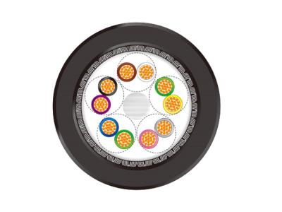 Import LONGTRONIC LF-DATA Li2YCYv-TP from chinese wholesale supplier and manufacturer