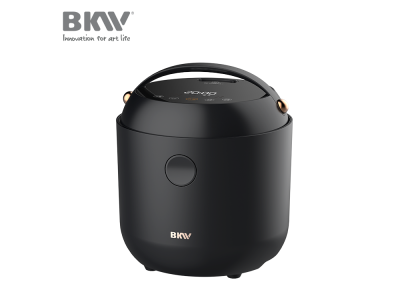 Import Low Sugar Rice Cooker RC100B20-B04 from chinese wholesale supplier and manufacturer