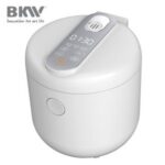 Import Low Sugar Rice Cooker RC100B20-L01 from chinese wholesale supplier and manufacturer