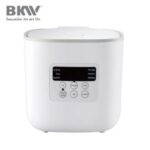 Import Low Sugar Rice Cooker RC100F16 from chinese wholesale supplier and manufacturer