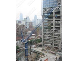 Import Luffing Tower Crane STL203C-10t from chinese wholesale supplier and manufacturer